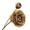 Ranunculus Spray, Brun 62 cm / Silkeblomst
