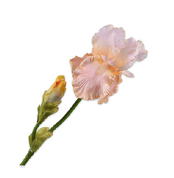 Iris Spray, Fersken 76cm / Silkeblomster