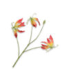 Gloriosa Spray, Rød/Gul 70cm / Silkeblomster