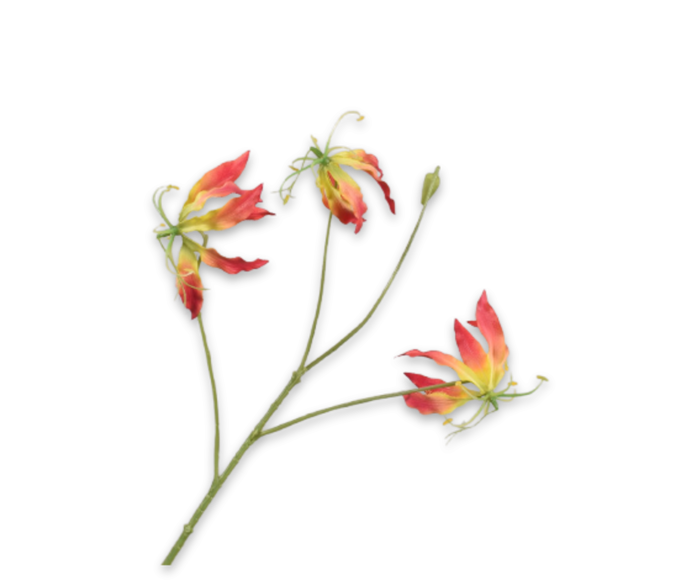 Gloriosa Spray, Rød/Gul 70cm / Silkeblomster