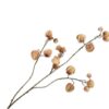 Physalis Spray, Brun 92 cm / Silkeblomst