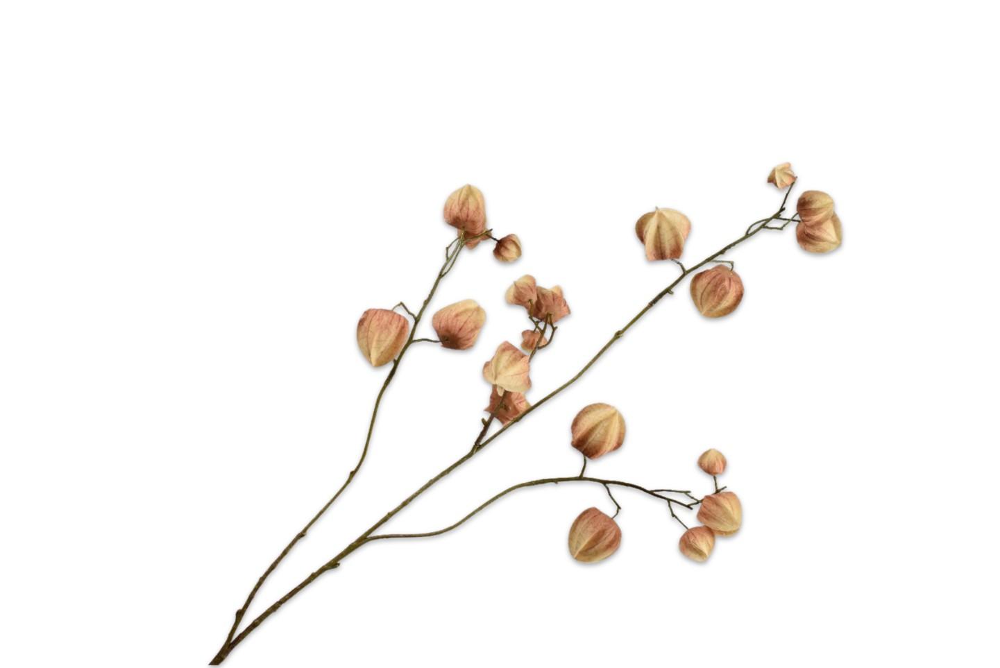 Physalis Spray, Brun 92 cm / Silkeblomst