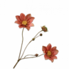 Ranunculus spray / Silkeblomst orange 111 cm.