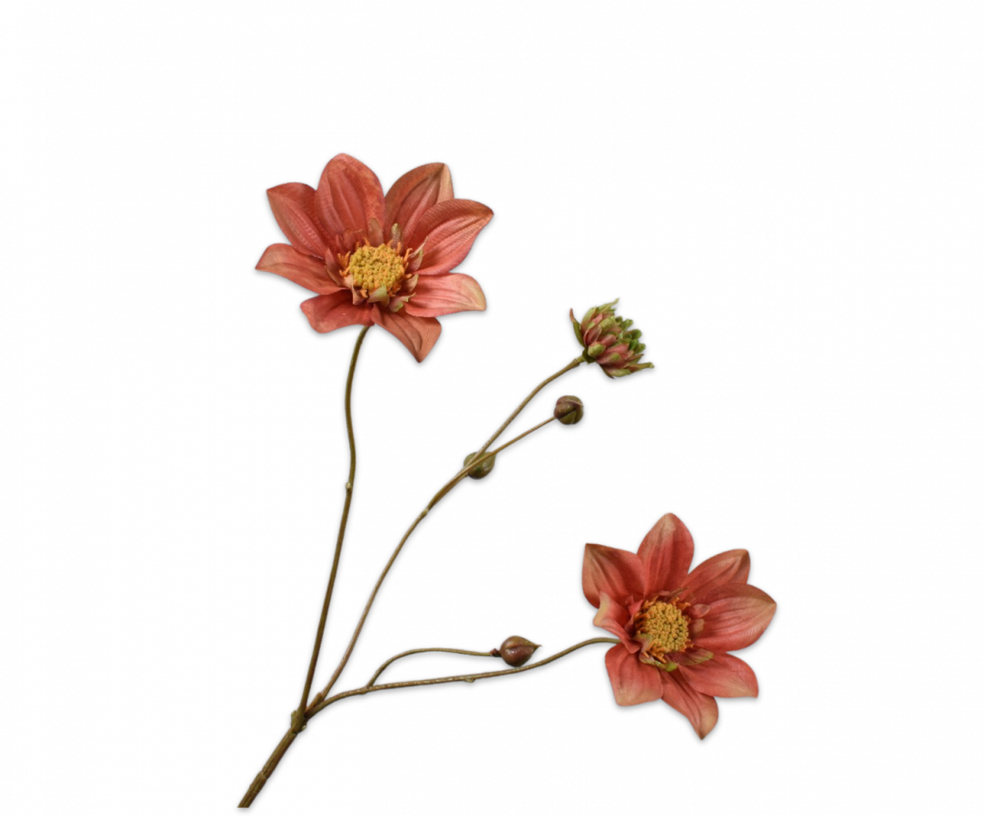 Ranunculus spray / Silkeblomst orange 111 cm.