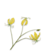 Gloriosa Spray, Gul 70cm / Silkeblomster