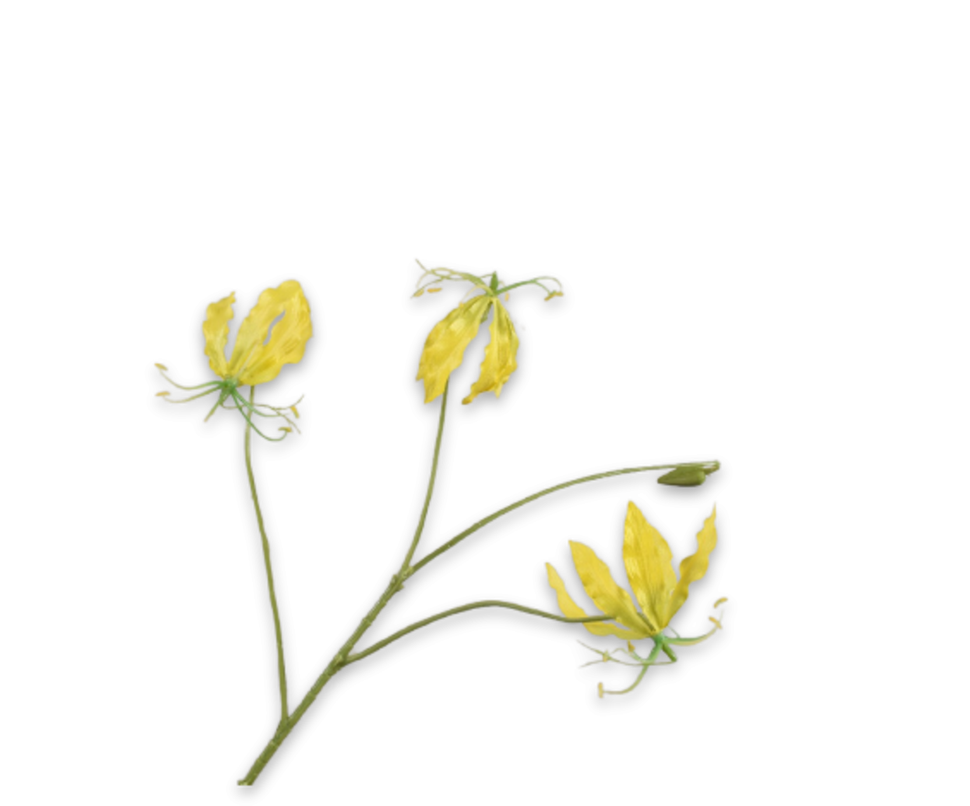Gloriosa Spray, Gul 70cm / Silkeblomster
