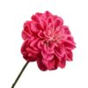 Dahlia Spray, Dark Pink 68 cm / Silkeblomst