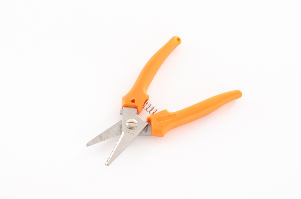 Saks orange