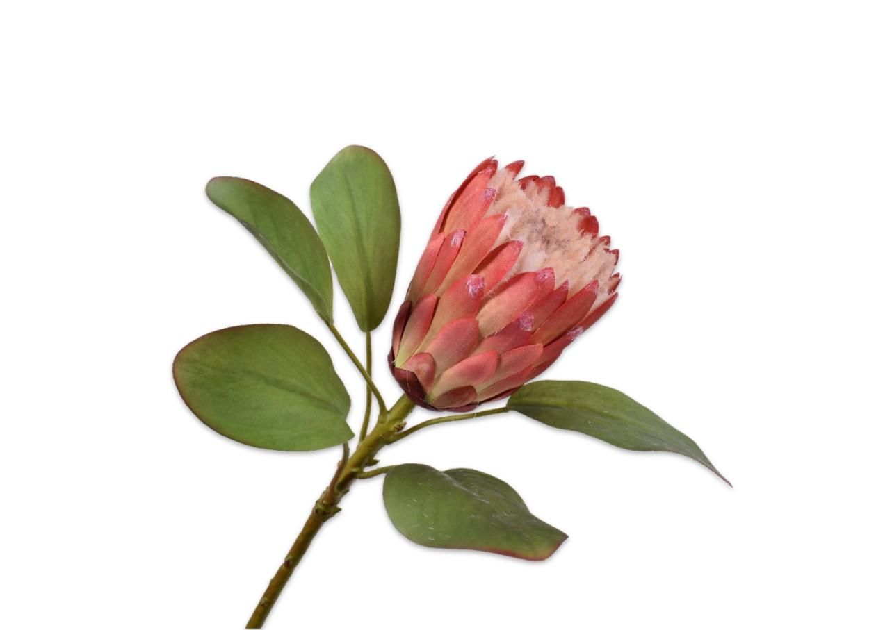 Protea Stem, Pink 70 cm / Silkeblomst