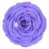 Rose XXL Præserveret