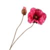Poppy Stem, Dark Pink 82 cm / Silkeblomst