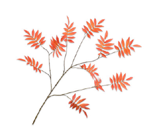 Leaf Spray / Silkeblomster