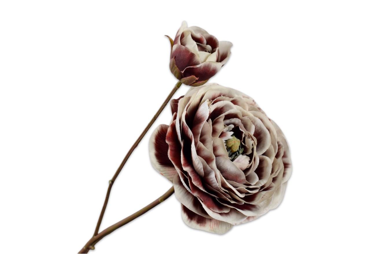 Ranunculus Spray, Brun/Hvid 62 cm / Silkeblomst