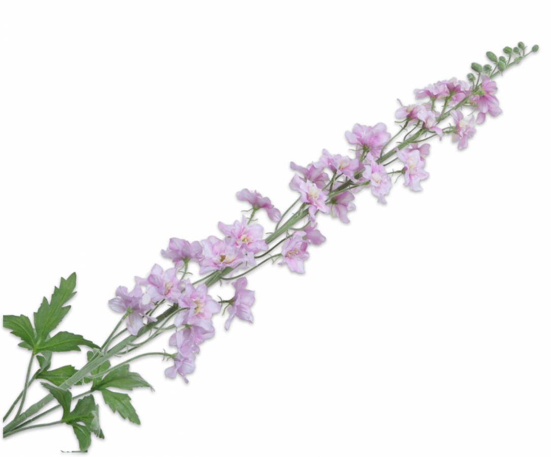 Delphinium Stem / Silkeblomst