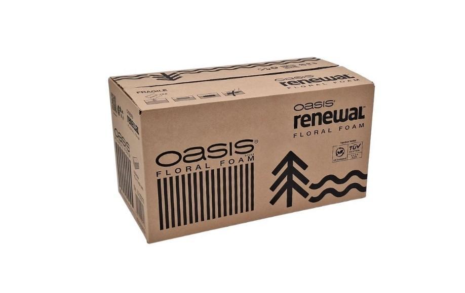 Oasis Floral Foam 20stk