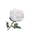 Rose Stem, Hvid 76cm / Silkeblomster