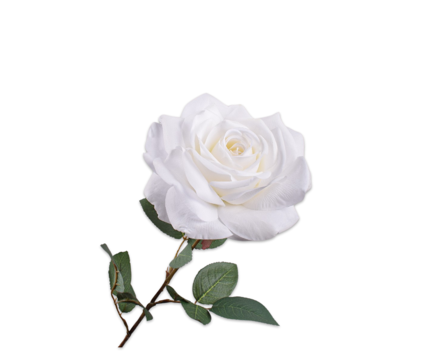 Rose Stem, Hvid 76cm / Silkeblomster