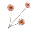 Zinnia Spray / Silkeblomst