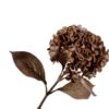 Hydrangea Spray, Brun 67 cm / Silkeblomst