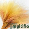 Stipa Tørret gul