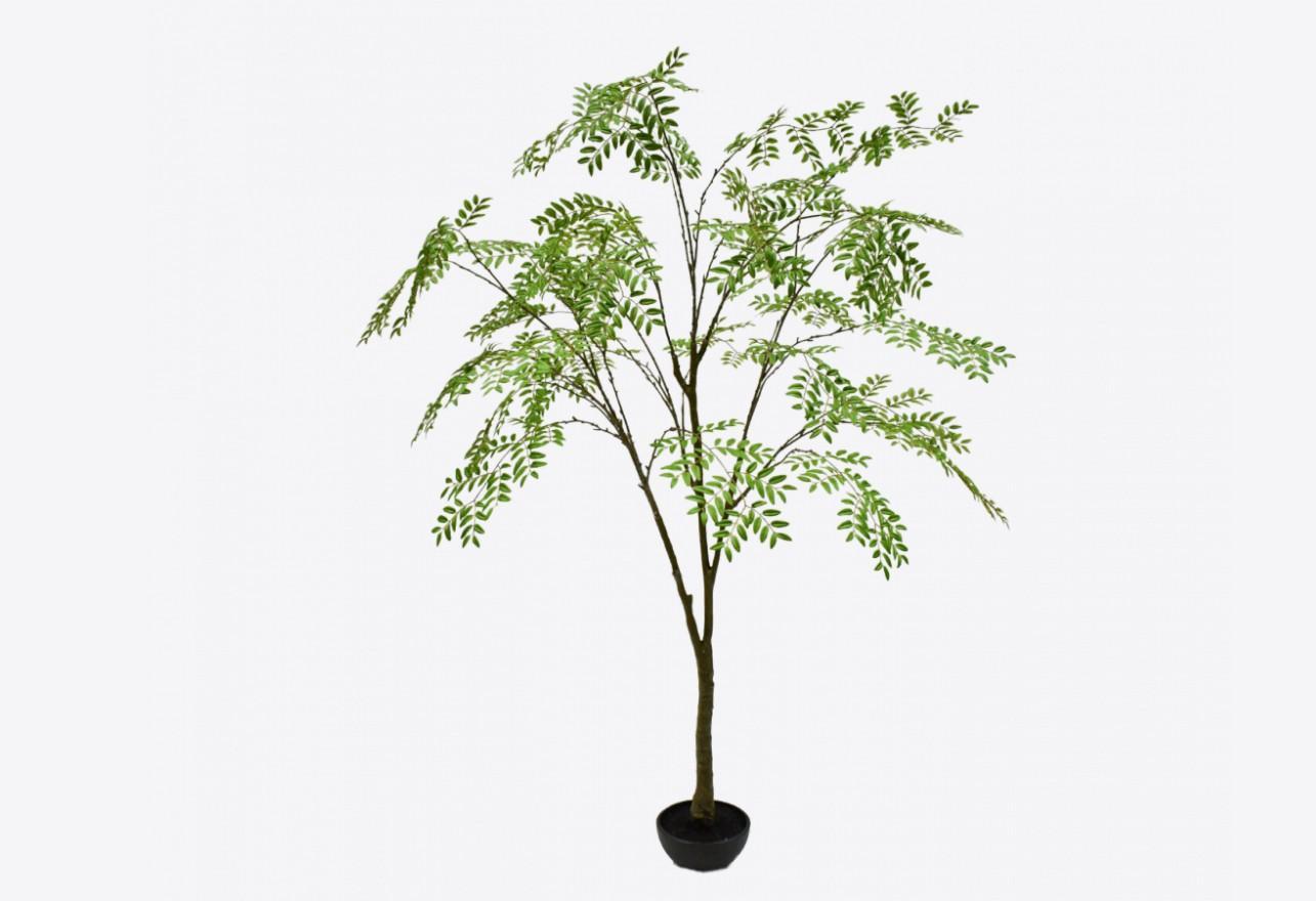 GRØN PLANTE 250 CM