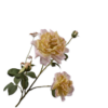 Rose Spray, Lyserød/Gul 102cm / Silkeblomster