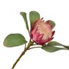 Protea Stem, Pink 65 cm / Silkeblomst