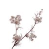 Queen An Lace Spray, Hvid 78 cm / Silkeblomst