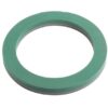 Oasis Ring skumbund