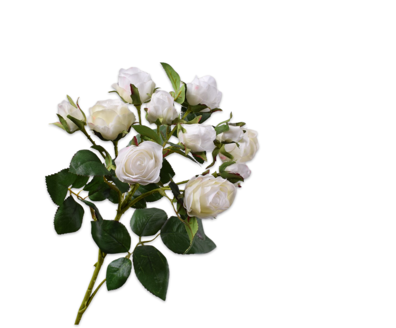 Rose Spray Cream RT 78cm