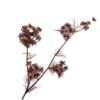 Queen An Lace Spray, Brun 78 cm / Silkeblomst