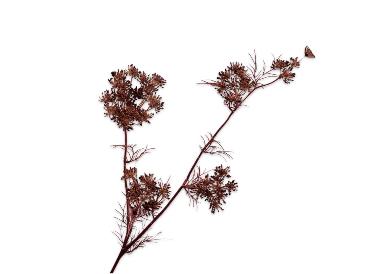 Queen An Lace Spray, Brun 78 cm / Silkeblomst