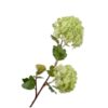 Snowball Spray, Grøn 68 cm / Silkeblomst