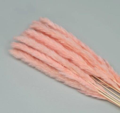 Pampas Farvet Tørret