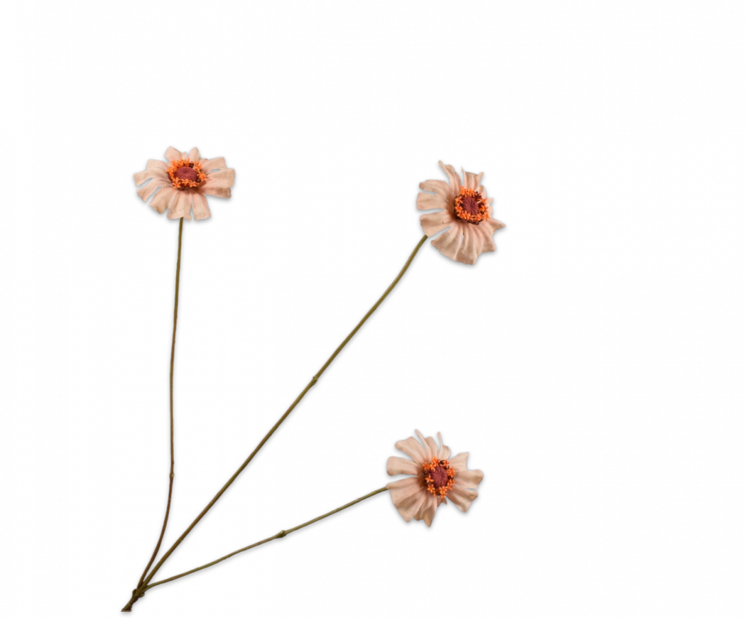 Zinnia Spray Fersken / Silkeblomst