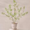 Queen an lace spray pink 82 cm.