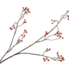Berry Spray Orange 94cm