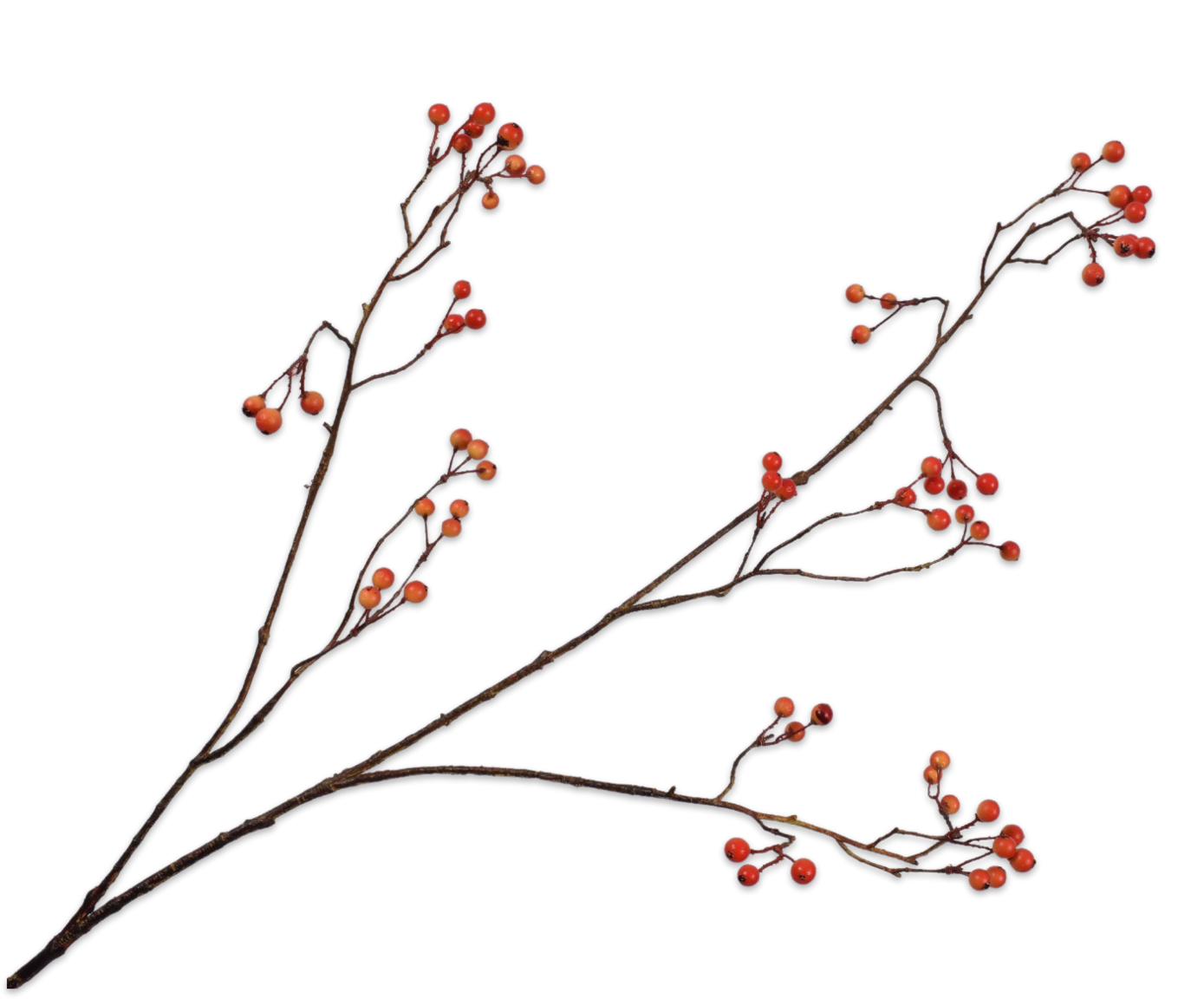 Berry Spray Orange 94cm