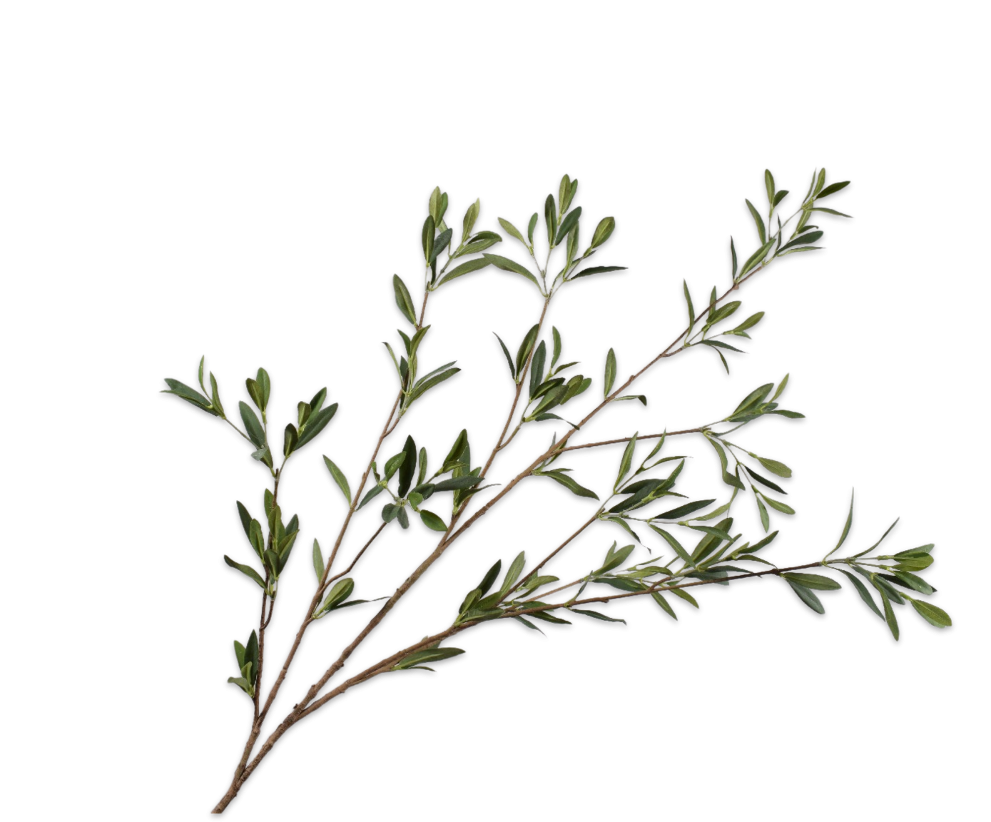 Olive Spray, Grøn 130cm / Silkeblomster
