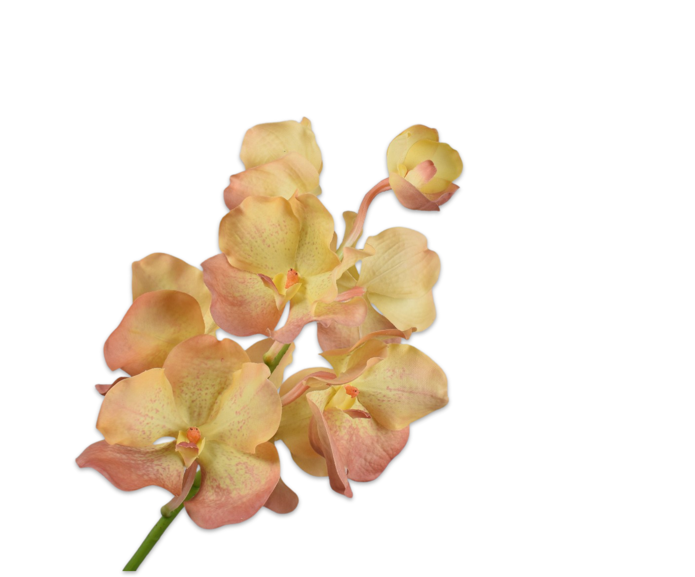 Vanda Spray, Gul/Brun 67cm / Silkeblomster