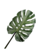 Monstera  Leaf Green 53 cm