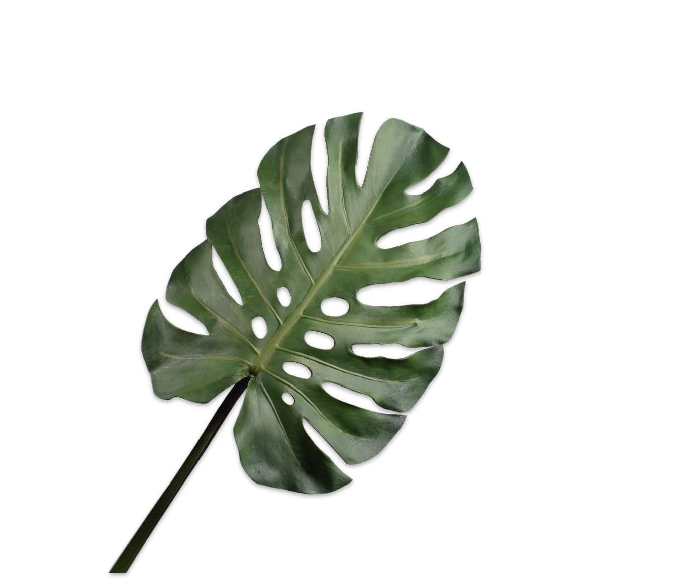 Monstera Leaf Green 53 cm