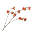 Physalis Spray, Orange 92 cm / Silkeblomst