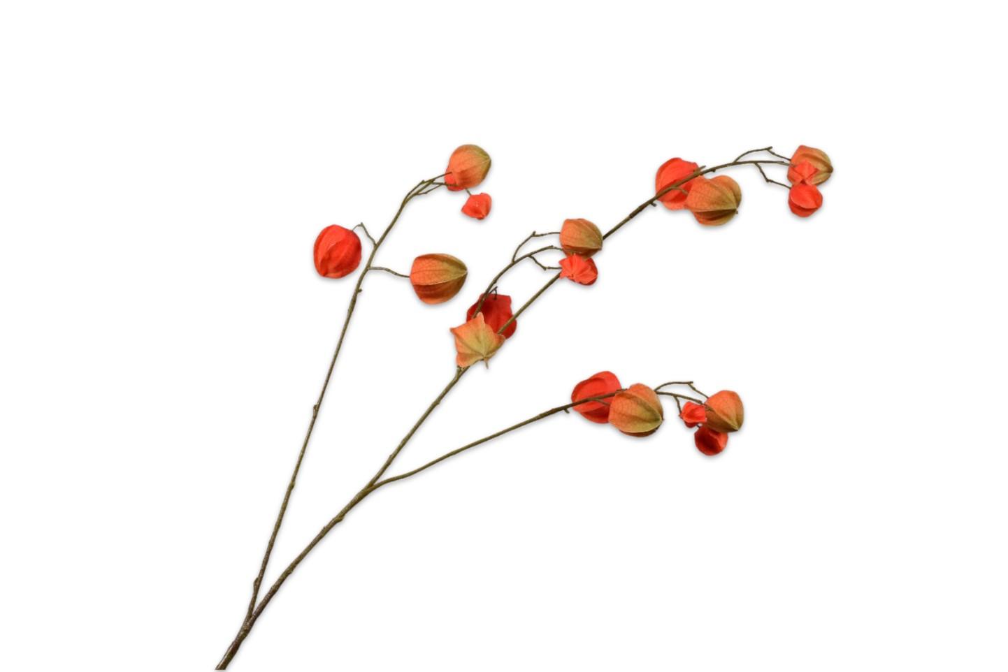 Physalis Spray, Orange 92 cm / Silkeblomst