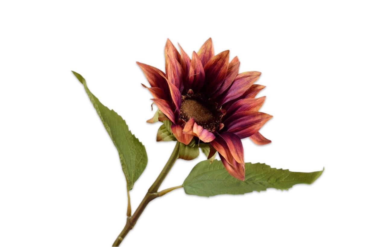 DAHLIA SPRAY / silkeblomst BROWN 86 CM