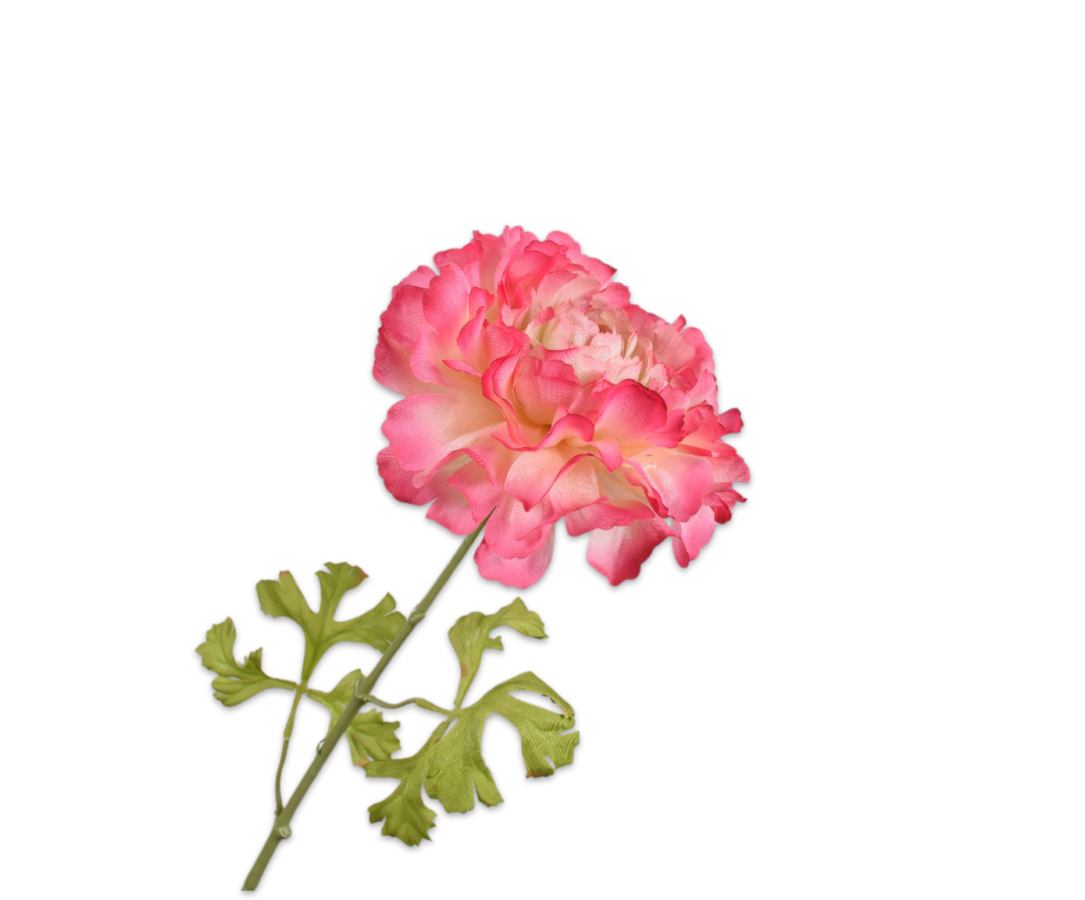 Ranunculus Spray, Beauty 59cm / Silkeblomster