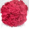 Hortensia Præserveret XL Red01 / Ø20-25