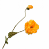 Poppy Spray Yellow/Silkeblomst