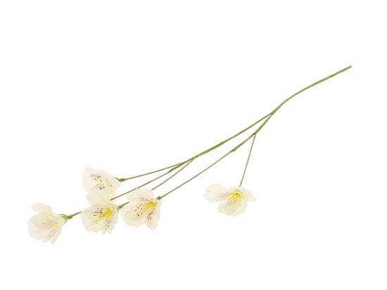 Stem Lisianthus 63 cm / Silkeblomst