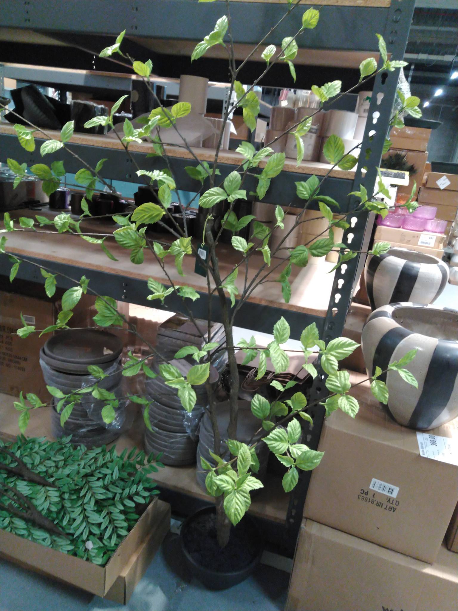 GRØN PLANTE 250 CM